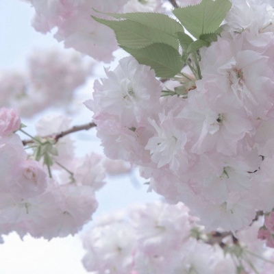 三水FurryQQ群介绍